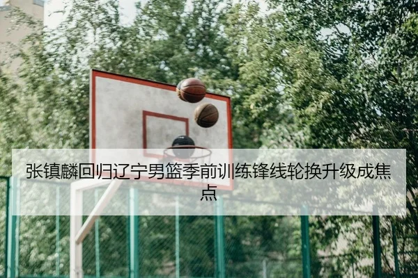 张镇麟回归辽宁男篮季前训练锋线轮换升级成焦点