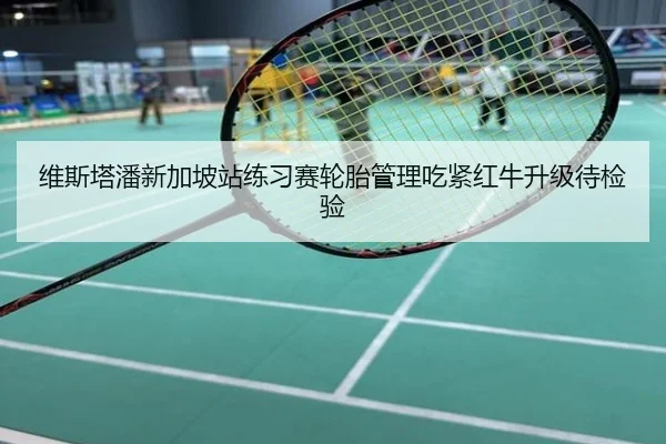 维斯塔潘新加坡站练习赛轮胎管理吃紧红牛升级待检验
